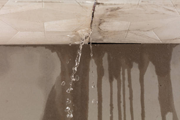 Professional Burst Pipe Cleanup technician working in Isabella, MN